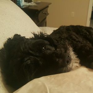 Meet your Posher, Heather